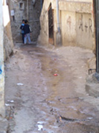 100_1412.jpg