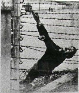 filo spinato.jpg