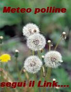 meteopolline