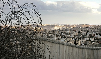 MURO.jpg