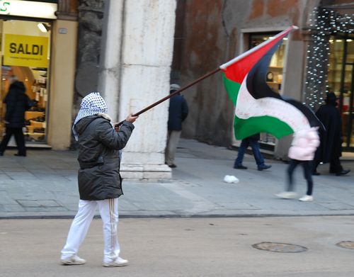 DSC_0184 a.jpg