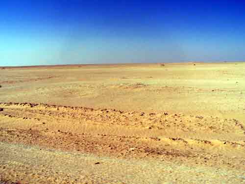 100_5543.jpg