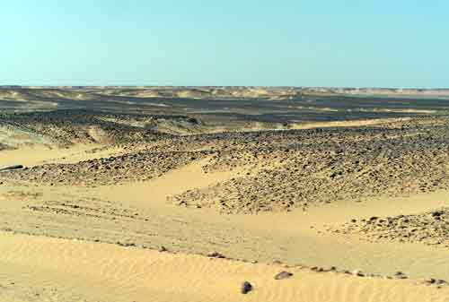 100_5554.jpg