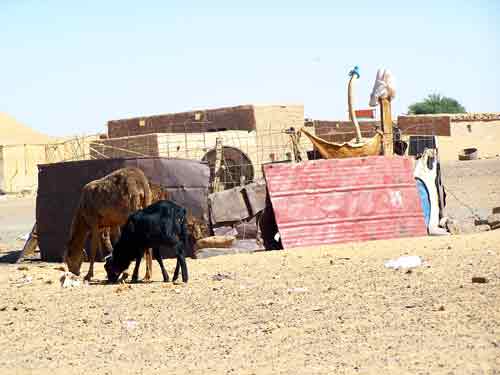 100_5690.jpg