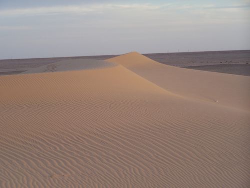 100_6749 a.jpg